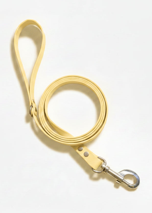 Laisse Saint-Malo 1,9cm